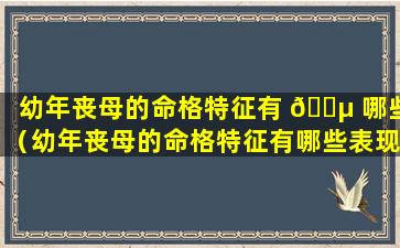 幼年丧母的命格特征有 🌵 哪些（幼年丧母的命格特征有哪些表现）